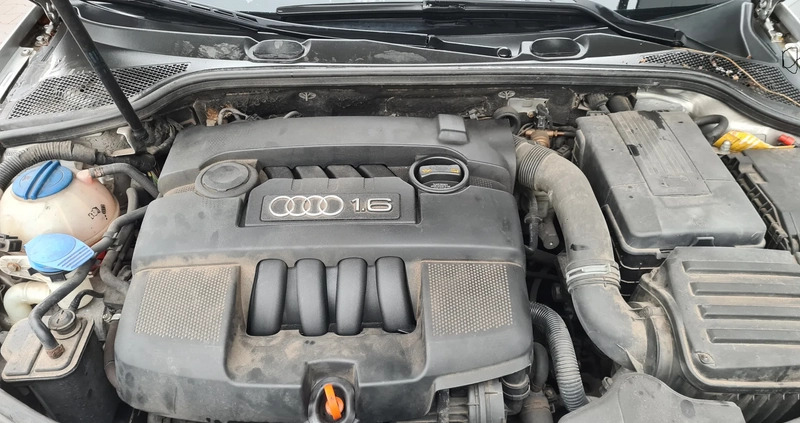 Audi A3 cena 15999 przebieg: 245000, rok produkcji 2006 z Wleń małe 22